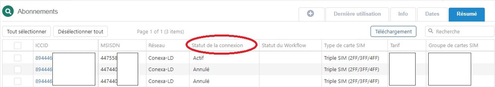 Capture d'écran connexion statut.jpg